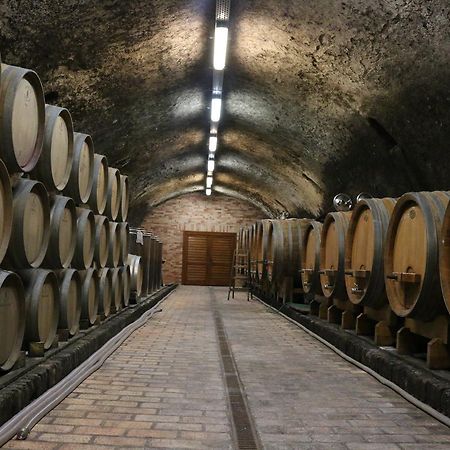 Villa Tolnay Vendégház Gyulakeszi Esterno foto