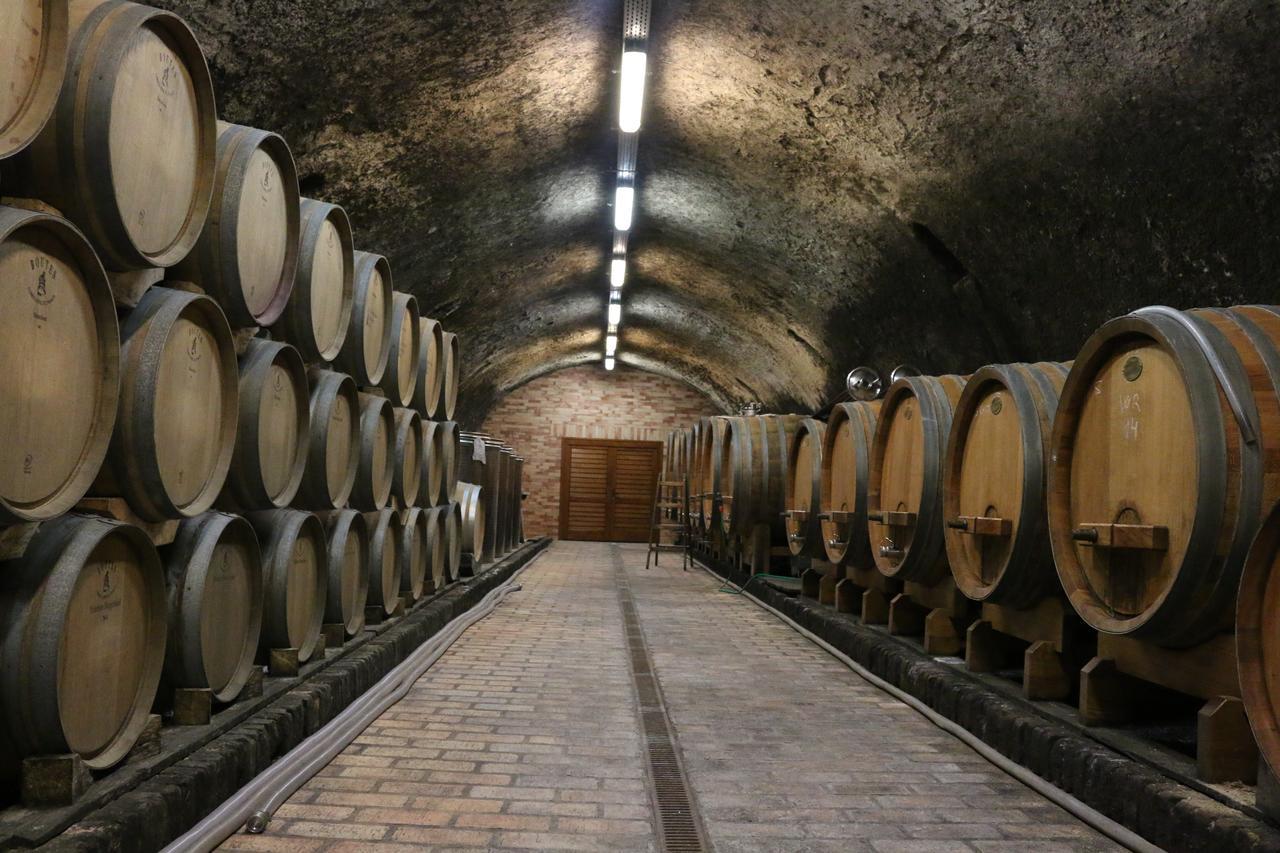 Villa Tolnay Vendégház Gyulakeszi Esterno foto