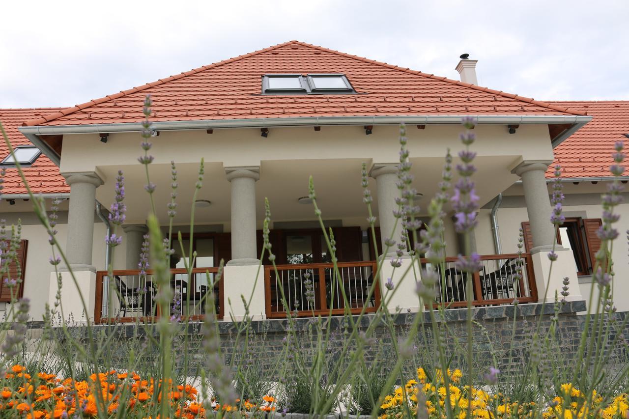 Villa Tolnay Vendégház Gyulakeszi Esterno foto